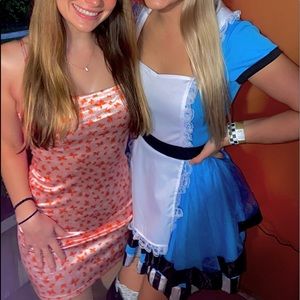 Alice in Wonderland Costume